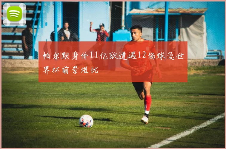 帕尔默身价11亿欧遭遇12场球荒世界杯前景堪忧